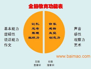 山東臨沂與臨沭全腦開發(fā)服務(wù) 可靠提供商、廠家與價格咨詢指南